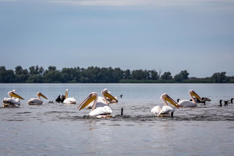 Danube Delta - 2-Day Tour from Bucharest - Who this tour suits best, and who should look elsewhere