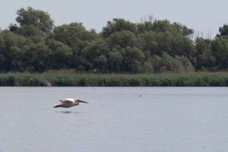 Danube Delta - 2-Day Tour from Bucharest - The Danube Delta boat time: where the trip becomes real