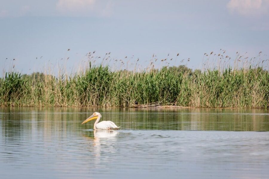 Danube Delta - 2-Day Tour from Bucharest - One night in the Delta: sleeping close to the water