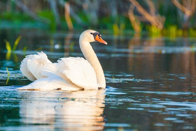 Danube Delta and Black See - 2 Days Private Tour from Bucharest - Danube Delta boat trip: pelicans, birds, and mosaic forests
