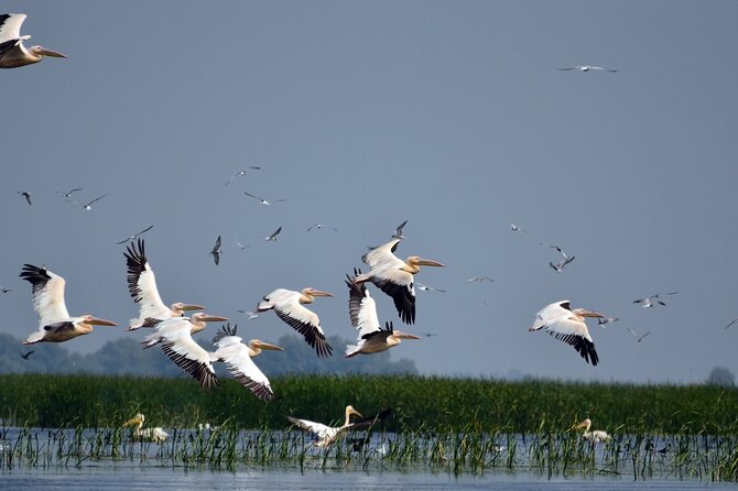 Danube Delta and Black See - 2 Days Private Tour from Bucharest - Who should book this Bucharest to Delta route