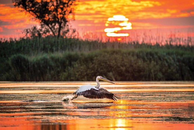 Danube Delta Private Tour from Bucharest - 2 Days tour - Day 1: Tulcea primer, then Sulina’s port world