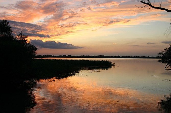 Danube Delta Private Tour from Bucharest - 2 Days tour - What you will learn about the Danube Delta ecosystem