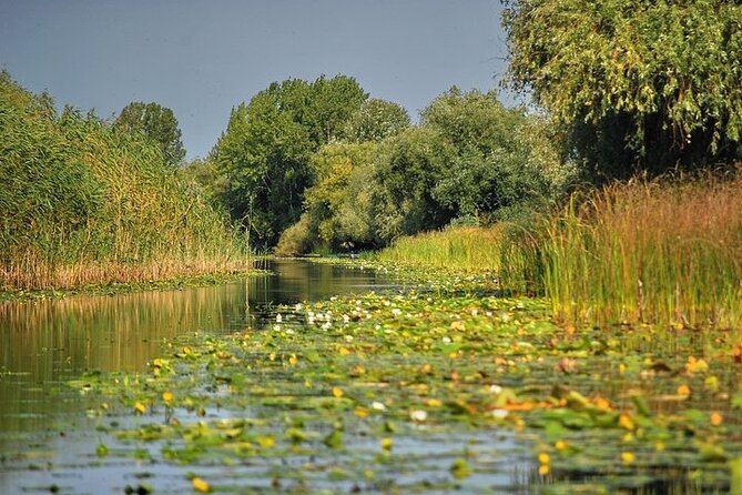 Day Trip from Bucharest to Danube Delta - The 6:30 am meeting: why the early start can be your best friend