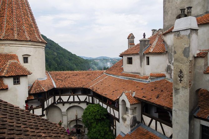 Dracula and Peles Castles Premium Tour with Hotel pick-up - Price and value for a 12 to 14 hour day