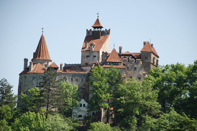 Dracula's Castle & Peles Palace Tour from Bucharest Including Brasov Old Town - Bucegi Mountains Road Time You Actually Get to Enjoy