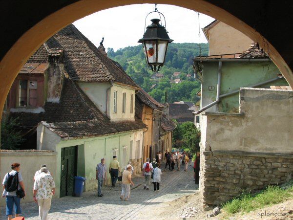 Dracula’s Castle & Sighisoara 2-Day Tour from Bucharest - A fast, focused Transylvania run from Bucharest