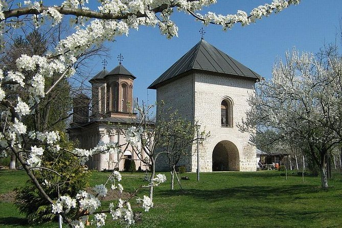 Dracula's Tomb and Mogosoaia Palace, Private Tour from Bucharest - Timing, Tickets, and What You’ll Actually Spend