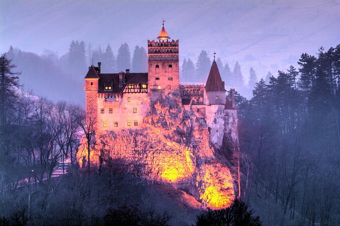 Executive Dracula Day Trip - See Bran & Peles Castle, Brasov from Bucharest - Pickup, Travel Comfort, and How the Day Pacing Works