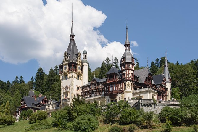 Explore Transylvania: Dracula, Peles Castle & Brasov Private Tour - Who this tour suits best, and who might want to rethink it