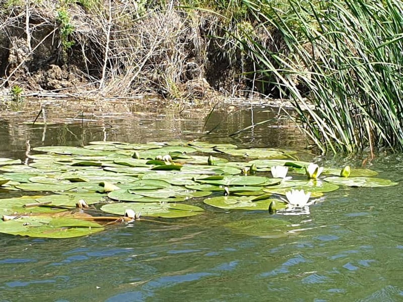 From Bucharest: 2-Day Danube Delta Wonders Small Group Tour - Key points before you go