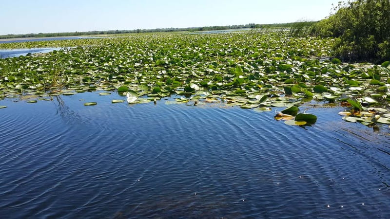 From Bucharest: 3-Day Danube Delta Birdwatching Private Tour - Who will love this Danube Delta tour most?
