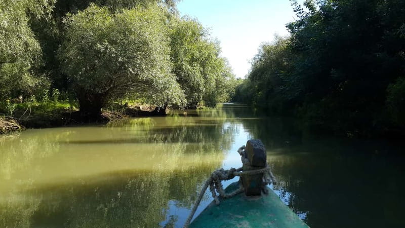 From Bucharest: 3-Day Danube Delta Birdwatching Private Tour - From Bucharest to the Black Sea coast, then straight to the Delta