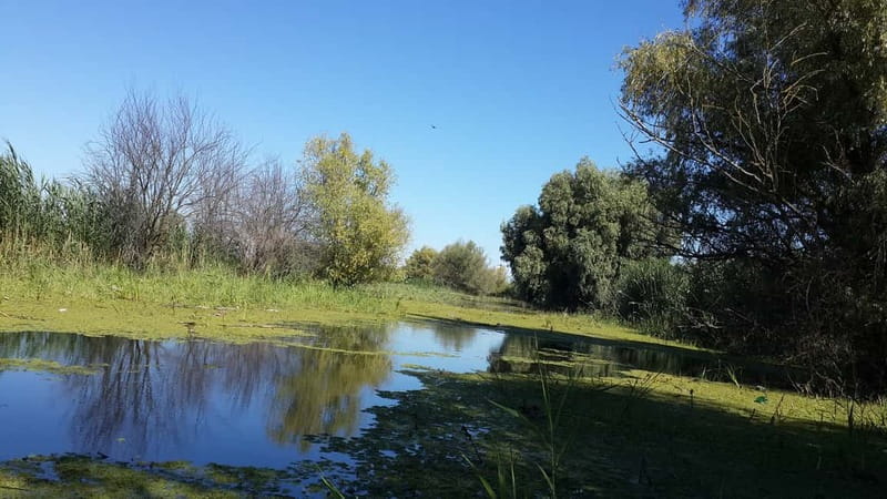 From Bucharest: 3-Day Danube Delta Birdwatching Private Tour - Is $797 per person good value for this private trip?