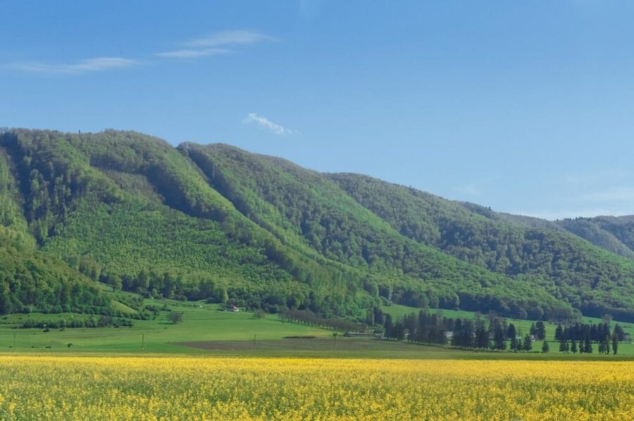 From Bucharest: Bear Sanctuary and 7 Ladders Canyon Day Trip - Key Things I’d Plan Around