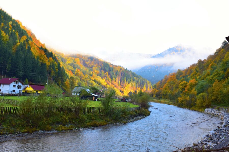 From Bucharest: Bear Sanctuary and 7 Ladders Canyon Day Trip - Bucharest-to-Transylvania Timing and What the Day Feels Like