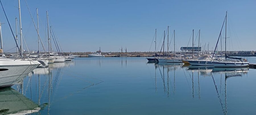 From Bucharest: Black Sea Constanța Day Tour - Price and value: what $136 buys for a private day