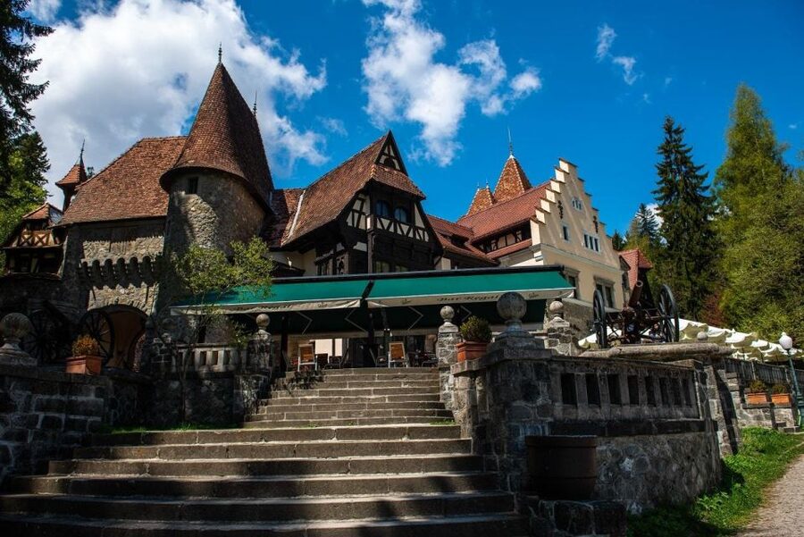 From Bucharest: Brasov Peles & Dracula's Castle Day Tour - Key takeaways before you go