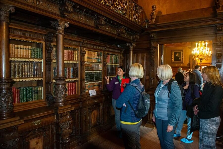 From Bucharest: Brasov Peles & Dracula's Castle Day Tour - Should you book this Bucharest to Transylvania day tour?