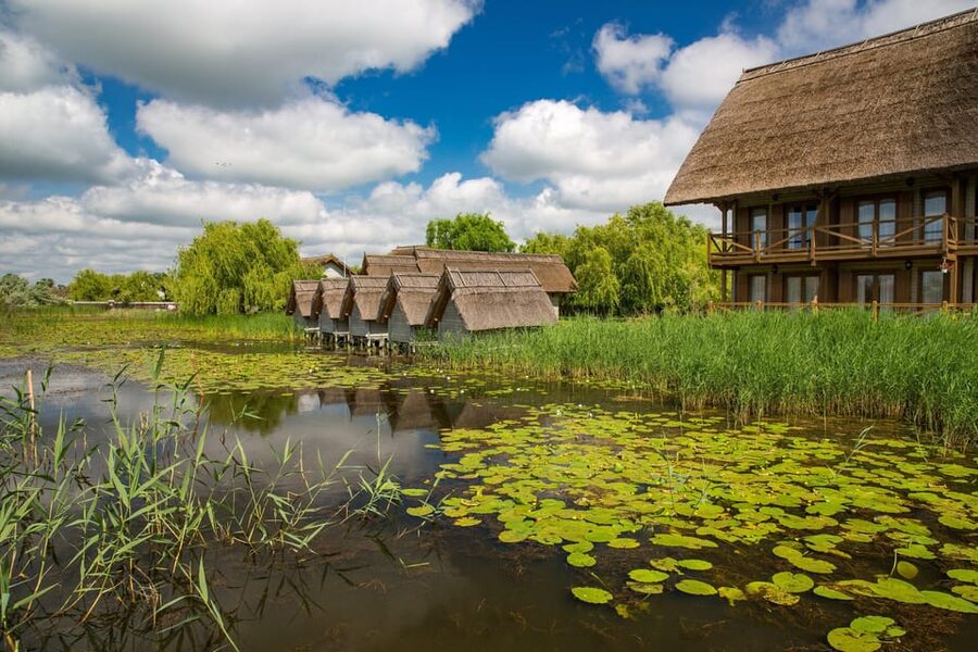From Bucharest: Day Trip to Danube Delta - Tulcea County Arrival: What Happens Before the Boat