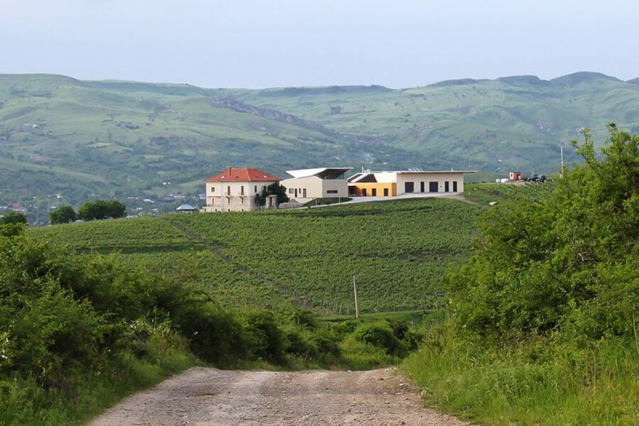 From Bucharest: Exclusive Dealu Mare Wine Tasting Tour - The lunch reset in between wineries