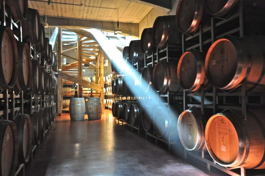 From Bucharest: Exclusive Dealu Mare Wine Tasting Tour - 1000 Chipuri: Family craft, oak vs tank tasting, and Romanian varietals