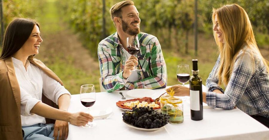 From Bucharest: Exclusive Dealu Mare Wine Tasting Tour - Price and what you’re really paying for
