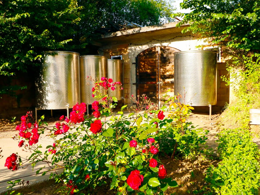 From Bucharest: Exclusive Dealu Mare Wine Tasting Tour - The guide factor: Mihai, Bogdan, and Andrei set the tone