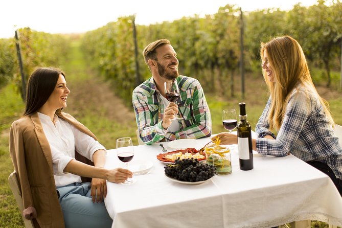 From Bucharest: Exclusive Wine Tasting Tour in Dealu Mare - Key highlights that make this day work