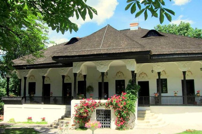 From Bucharest: Exclusive Wine Tasting Tour in Dealu Mare - From Bucharest to Dealu Mare, you get a real plan for the whole day