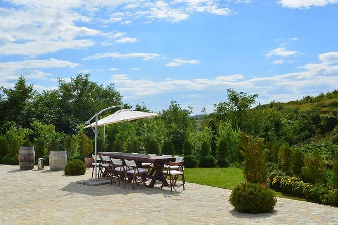 From Bucharest: Exclusive Wine Tasting Tour in Dealu Mare - 1000 Chipuri Winery: family style, plus a stainless steel tank moment