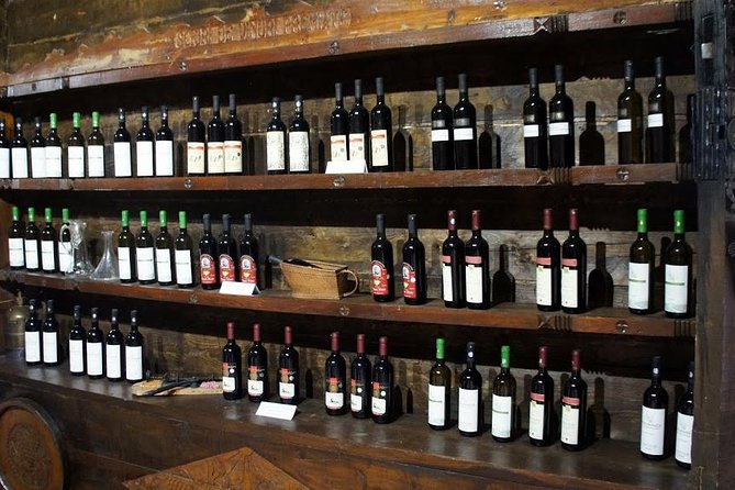 From Bucharest: Exclusive Wine Tasting Tour in Dealu Mare - Transport and guide setup: why private matters on this route