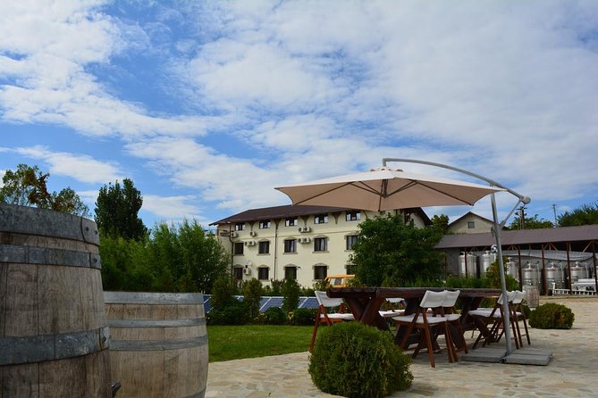From Bucharest: Exclusive Wine Tasting Tour in Dealu Mare - Who this tour suits best, and who may want to rethink it
