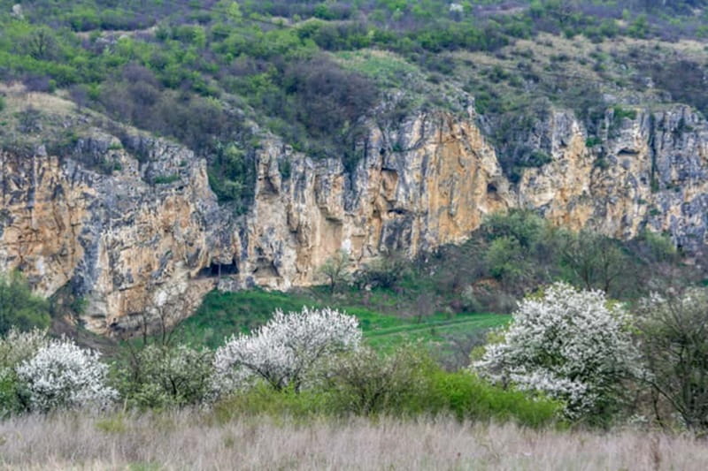 From Bucharest: Experience Bulgaria Small-Group Trip - From Bucharest to Bulgaria in one day: what you’re really buying