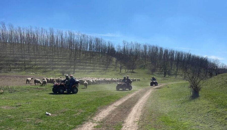 From Bucharest: Forest and Hills ATV Quad Bike Tour - Who Should Book This Forest and Hills Quad Bike Tour?
