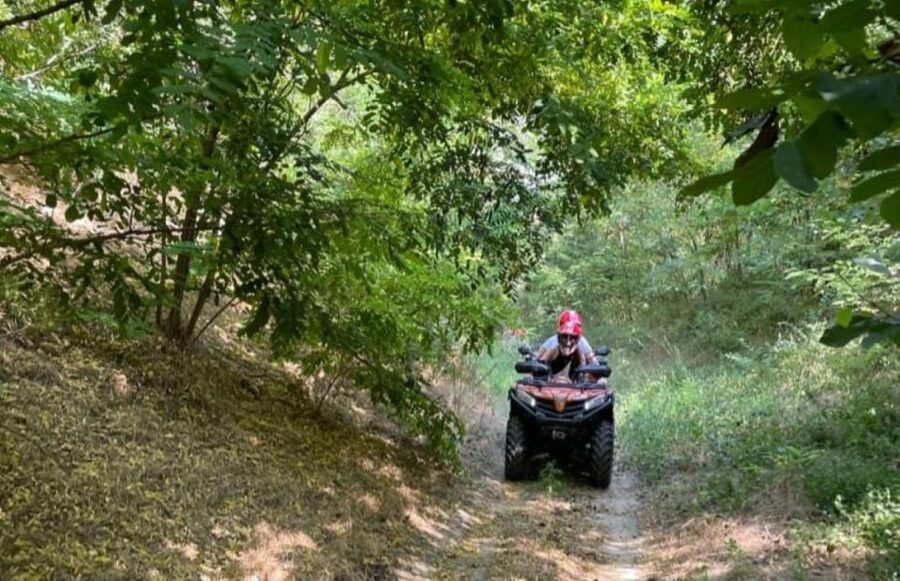 From Bucharest: Forest and Hills ATV Quad Bike Tour - How Photos and Videos Work, and Why It’s Worth It