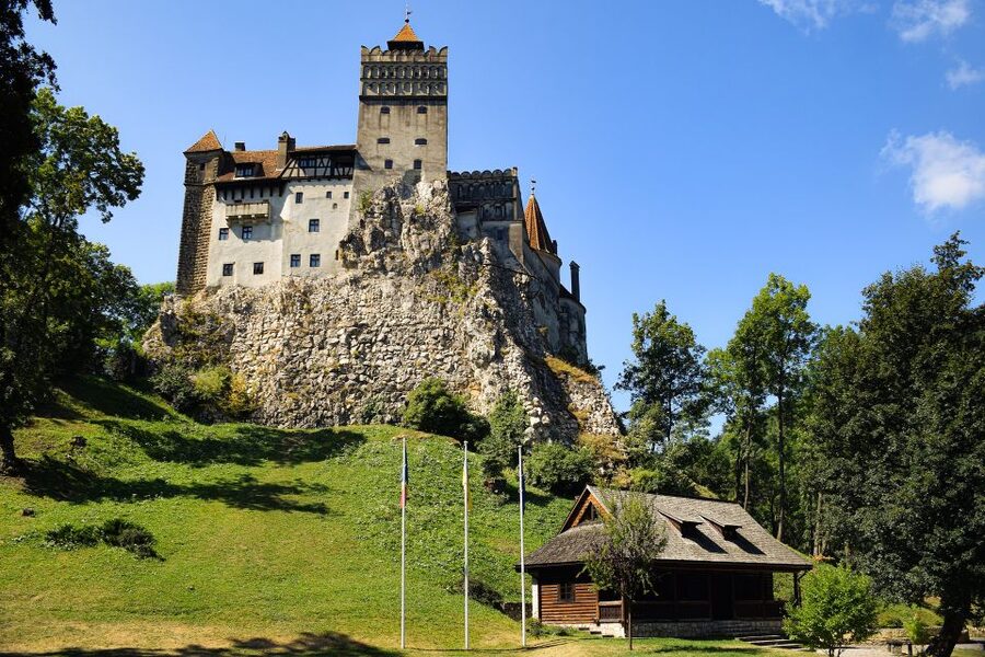 From Bucharest: Libearty Bear Sanctuary and Dracula's Castle - Key moments that make this trip work