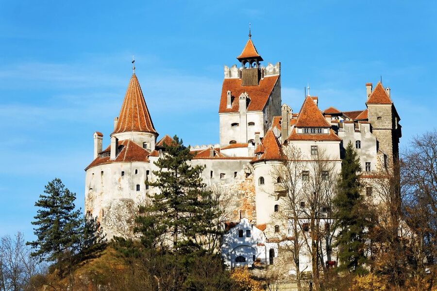 From Bucharest: Libearty Bear Sanctuary and Dracula's Castle - Libearty Bear Sanctuary in Zărnești: 69 hectares, 90 rescued brown bears