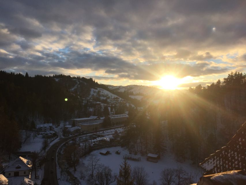 From Bucharest: Peleș and Bran Castles Private Tour - Timing tips that matter most for a smooth day