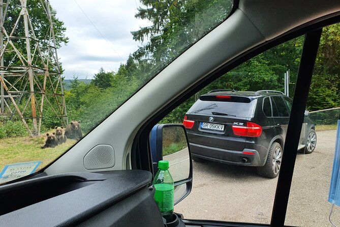 Full-Day Private Carpatian Garden with Dracula's Fortress - Wild Brown Bears - Vidraru Dam: Brown Bear Spotting Near the Road