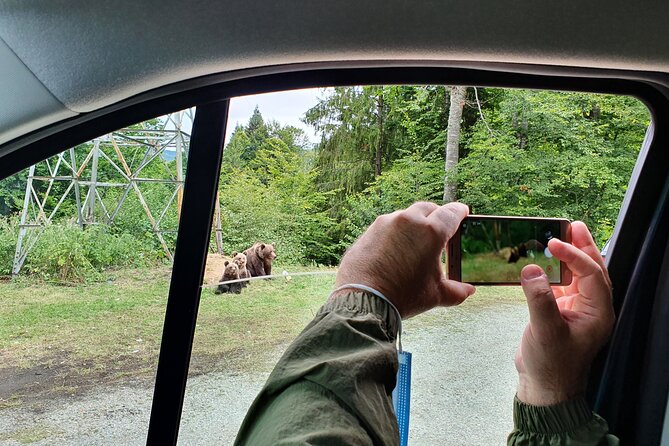 Full-Day Private Carpatian Garden with Dracula's Fortress - Wild Brown Bears - Price and Value: Why $244.35 Can Make Sense for This Day