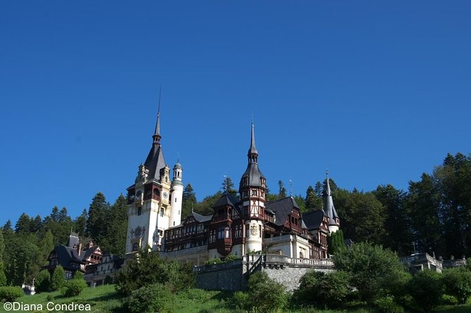 Full-Day Private Tour of Brasov City and Peles Castle from Bucharest - A Bucharest-to-Sinaia-to-Brasov day that stays manageable