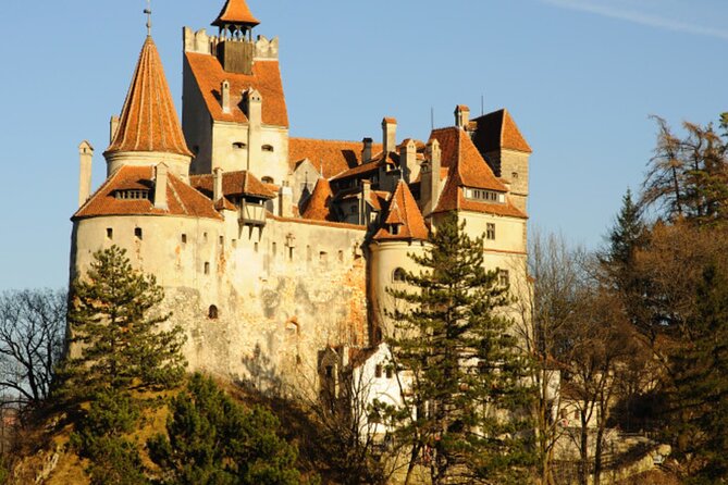 In Search of Dracula and the Teutons in Transylvania Full-Day Private Tour - Brasov time: Saxon fortified town character with a modern pulse