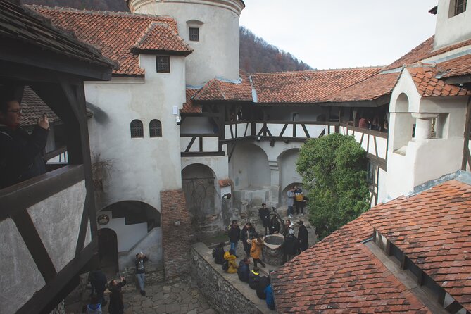 Legends&Wildlife Awaits: Dracula's Castle & Bear Sanctuary - Libearty Bear Sanctuary in Zărnesti: nearly 90 rescued bears, real space, real behavior