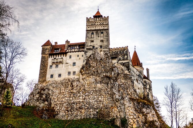 Legends&Wildlife Awaits: Dracula's Castle & Bear Sanctuary - The Carpathian drive and the planned coffee break that saves the day