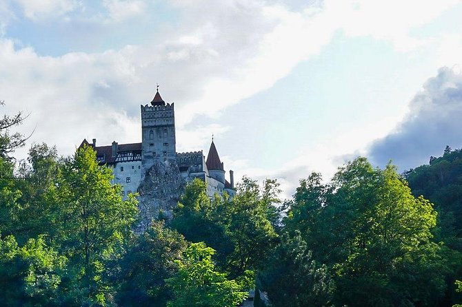 Libearty Bear Sanctuary and Dracula's Castle - Day Tour from Bucharest - The comfort details that keep a long day from wearing you out