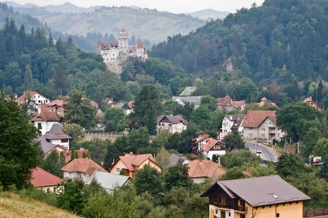Libearty Bear Sanctuary and Dracula's Castle - Day Tour from Bucharest - The “small group” part that changes your day