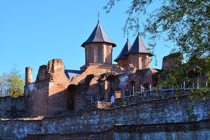 LiBEARty Brown Bear Sanctuary and The Real Dracula Tour - Guide Energy and On-the-Road Storytelling