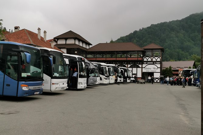Libearty Brown Bears Sanctuary & Fun with ATV or Buggy Quad Tour - Bucharest-to-Transylvania day plan, with a real start time
