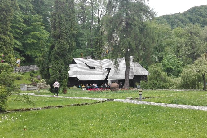 LiBEARty - the Brown Bear Sanctuary from Zarnesti - Brasov Historical Center: Black Church, Rope Street, and tower views
